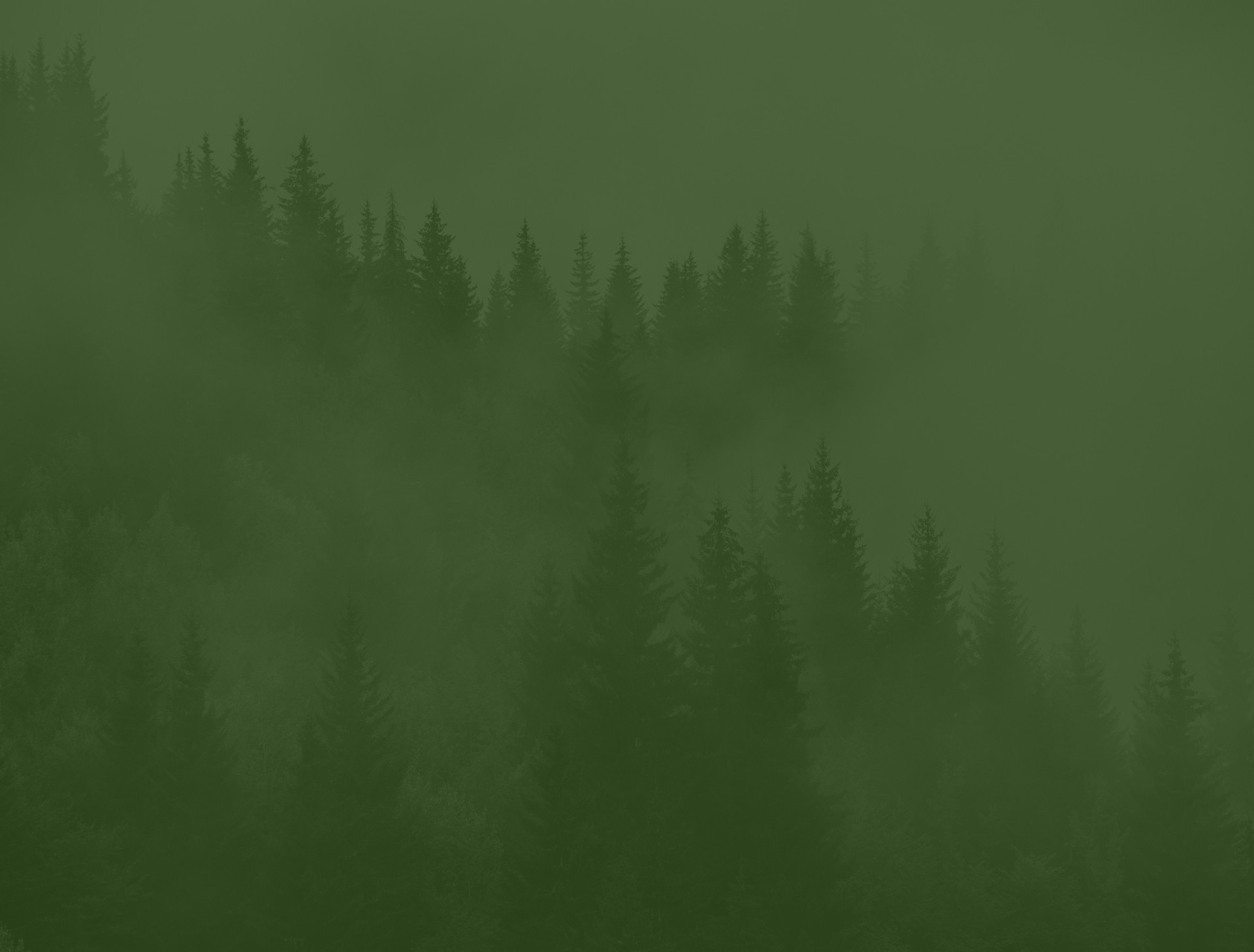 Головна – Зображення 19